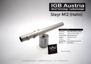 Steyr M12 (Hahn) IGB 9x19 - Standard